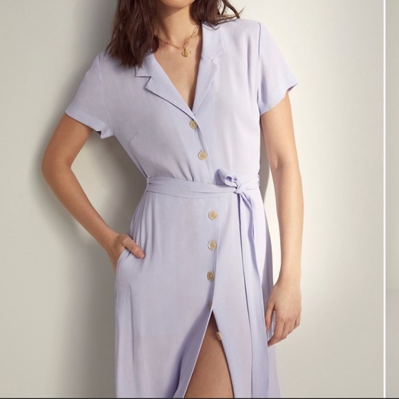 Wilfred Leopard Print Button Down Dress - Picture 8 of 8